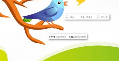 páginas para conseguir seguidores en twitter